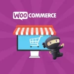 Woocommerce Store Credit 插件-提供可在结账时兑换的商店积分优惠券