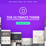 Divi WordPress 主题-美观和易于使用的WordPress高级主题,可视化页面构建器和无限的设计可能性
