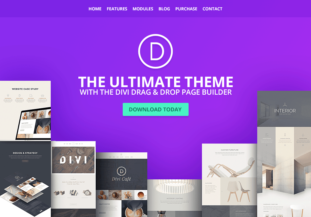 Divi WordPress 主题