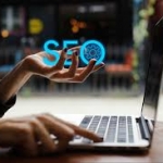利用200+ High PR .Edu & .Gov 站点来构建高质量的独立站 SEO 反向链接