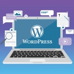 WordPress 如何设置站点地图-WordPress 站点地图指南及其使用方法