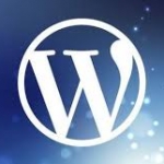 SEO Cleaner WordPress 网站清理插件-只需点击几下,该插件就会为您自动清除所有 WordPress 杂乱无章的东西