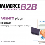 WooCommerce B2B Sales Agents 插件
