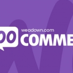 Woocommerce 客户电子邮箱验证插件