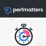 Perfmatters WordPress优化插件